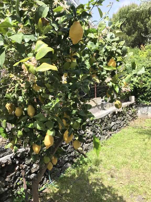 Al Villino Villa CTA Eksteriør bilde